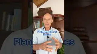Ашваганда: цельный корень или концентрированные экстракты