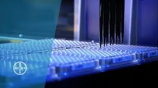 How Bayer Develops New Medicines to Fight Cancer