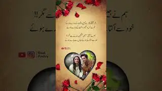 Wow kamal ki shayari hai ❤️ #poetry #shayari #poetryurdu #sheroshayari