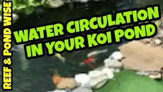 Water CIRCULATION in koi POND.