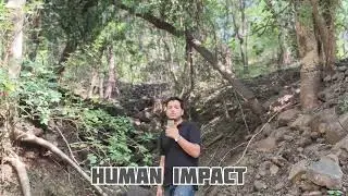 Human Impact On Ecosystem