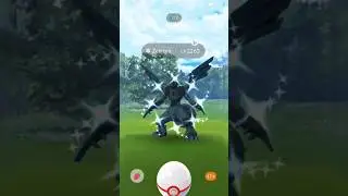 shiny Zekrom finally lasT raid PokemonGo