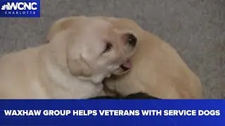 Waxhaw group supports veterans with dogs tailored for service