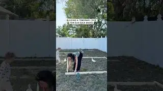 BUILDING A TEMORARY COOP FOR OUR DUCK BABIES #diy #chickencoop #ducks #homsteading #building#twinmom