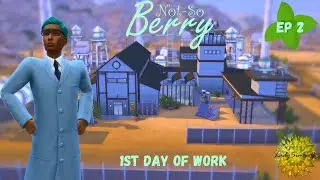 NSB Challenge | Mint Gen | Ep 2 | Wrigley's First Work Day | Sims 4