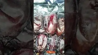 Finest Iranian Dates #khajur #shortsvideo #viral