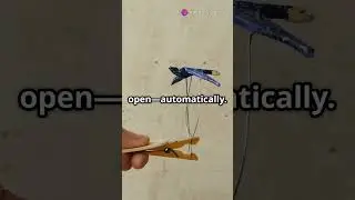 🤖 Ancient Greek Robots?! ⚙️ | The Hellenistic Automata Explained