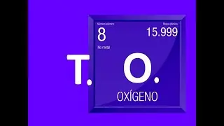 Endocrino 06 10 T  O