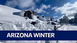 Another round of snowfall in Arizona's high country ❄️