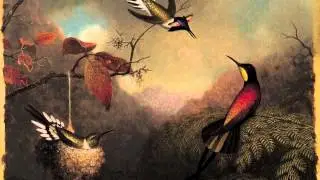 Museum Minute: Heade Hummingbirds