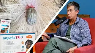 Is Selling Flea & Tick Prevention Bad Practice?