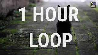 SIDE PATH BY KEVIN MacLEOD - SIDE PATH★1 HOUR LOOP AMBIENT CALM INSPIRING MUSIC NO COPYRIGHT FREE