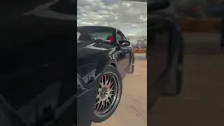 Driven, not collected. 2003 SVT COBRA.