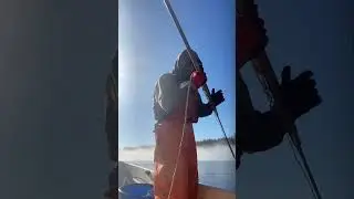 Subsistence Halibut Fishing in Southeastern Alaska