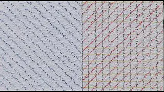 Installation of Sol LeWitt's wall drawings at the Art Gallery of NSW