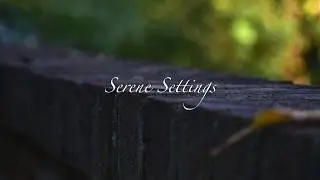 Serene Settings | 4K | I