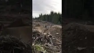 hitting the blue steel jumps at galbraith mountain in bellingham washington