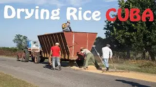 DRYING RICE on the road in CUBA. Great proof of Cuban inventiveness despite the US embargo.