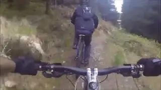 Afan Forest,  Whites Level.
