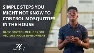 MOSQUITOES: Steps to Control of Vectors in the Environment | BIOLOGY SSCE | WAEC | NECO | JAMB