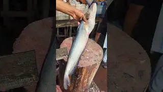 Big Boal Fish Cutting | Satisfying Fish Cutting Video #shorts