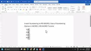 How to use Bullets and Numbering in Word