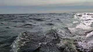 VID 20250810 171729