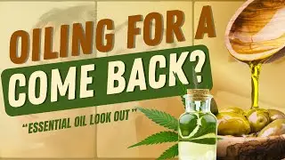 Natural Erectile Dysfunction Treatment: A Look Into Essential Oils | ED Treatments