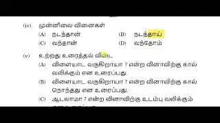 GRAMMAR - MODEL PAPER 1 (CBSE) TENTH STD REVISION FOR BOARD - 2026