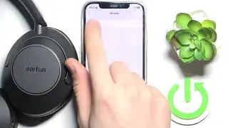 How do I check the software version on the EARFUN WavePro?