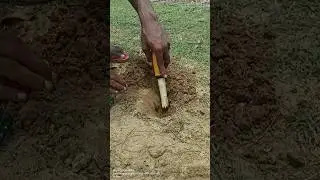 best metal detector finds#shorts #short #youtubeshorts #viral #metaldetecting #detector #pinpointer