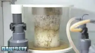 Schiumatoio LGMAquari LGs 850 Time Lapse di Schiumazione per 48 ore