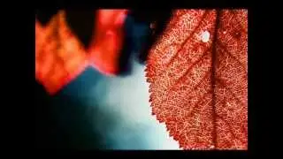 Yuri Ishchenko - Transparent Clarity of Autumn (2001) for ensebmle