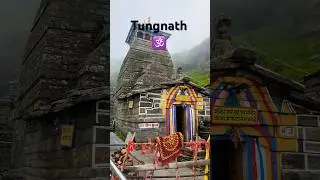 Tungnath 🕉️ #travel #india #nature #shorts #viralvideo #tungnathtemple #trending #nature