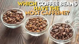 Which Coffee Beans Have the Most Caffeine?