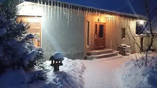 Як зимують мої Дерева та Малина