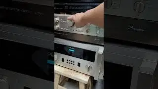 Tannoy Berkeley HPD 385A