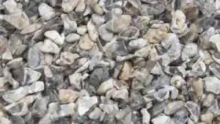Online Decorative Gravel Supplier | The Aggregate Shop