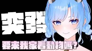 【深夜陪伴✨】深夜聊聊天玩玩遊戲挽回一下形象？【夏伊拉Shyla】