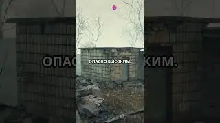 Топ 3 факта о Чернобыле 2025  #Ukraine #facts #Chernobyl #interestingfacts #Чернобыль #Припять