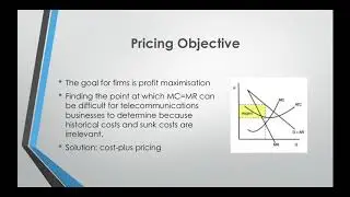 Angela Fowler Telecommunications Market - Market structure and pricing strategies