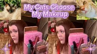 My Cats Pick My Makeup #pets #makeup #revolution #benefit #makeuptest  #testingmakeup #beauty #mac