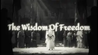 Nizo light - THE WISDOM OF FREEDOM