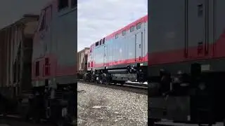 Egyptian Railways Locomotive!  Egypt Buys Train Engine From United States!  RARE Catch!  JawTooth