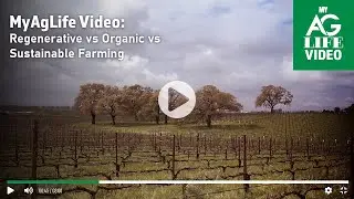 Regenerative vs Organic vs Sustainable Farming