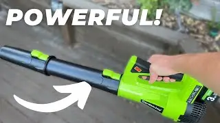 GardenJoy Cordless Electric Leaf Blower Review!