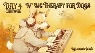 30-Day Dog Separation Anxiety Reggae Music Therapy | Day 4: Building Safety
