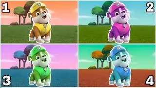 PAW Patrol - Coffin DanceSong (Cover)