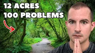 Bought 12 Acres, Found 100 Problems [Real Numbers + Breakdown]