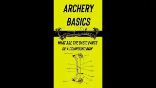 Archery Basics: What are the Parts of a Bow? 🏹